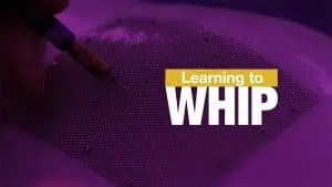 Learning to Whip