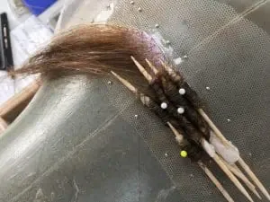 perming, facial, moustache