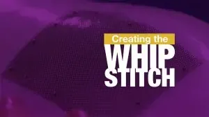 Creating the Whip Stitch