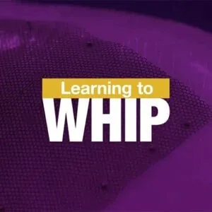 Learning to Whip